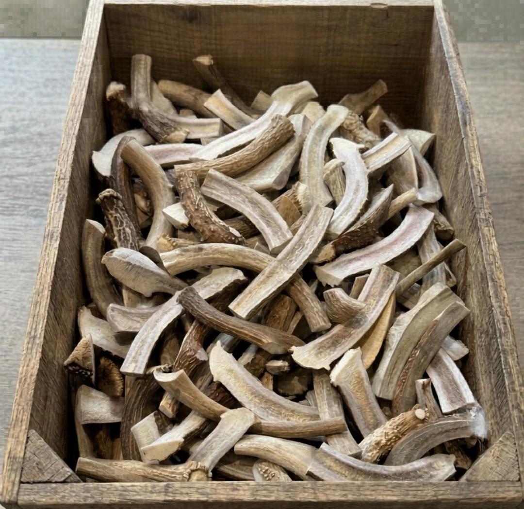 Elk and Deer Antler Dog Chews